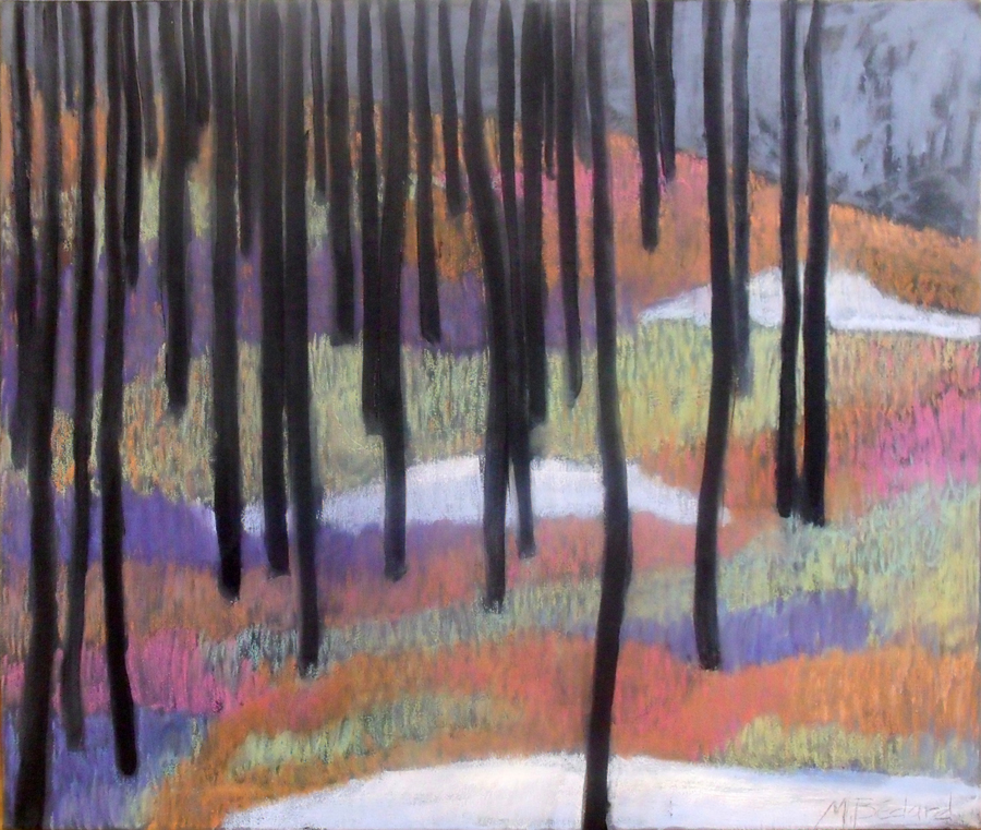 Forêt de Bourg-Louis